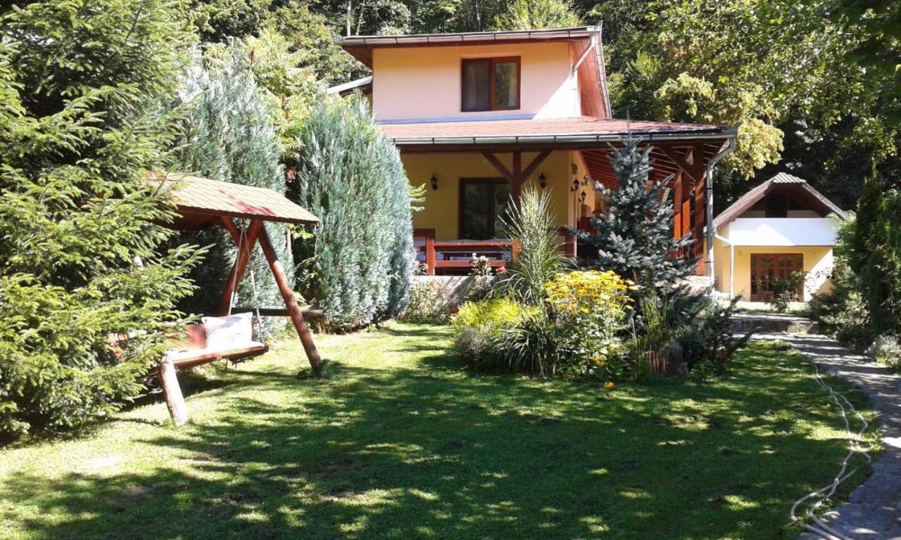 Treehouse Villa Padurea Neagra Exterior foto